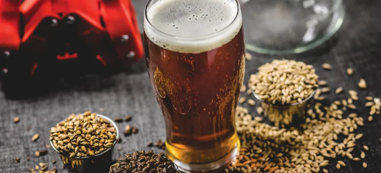  啤酒發(fā)酵過程大揭秘！vAPCI+CMS 聯(lián)用新技術(shù)如何快速捕捉風(fēng)味密碼？